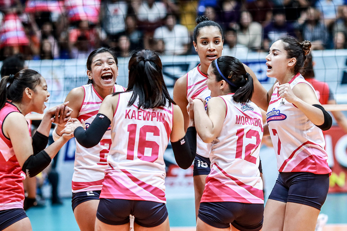 PVL 2019 Team Standings And Schedule