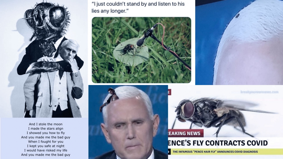 Opinion The Fly In Mike Pence S Hair opinion the fly in mike pence s hair