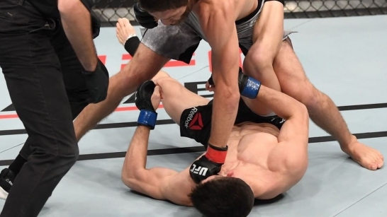 Mark Striegl Folds In Ufc Debut