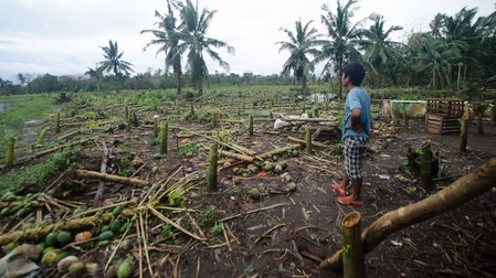 Typhoon Ulysses Agricultural Damage Nears P1 Billion