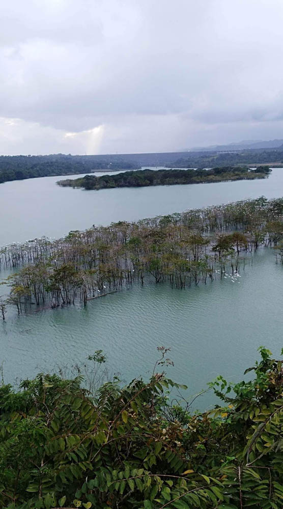 Pengamatan burung untuk memulai kembali pariwisata Cordillera pasca-COVID-19