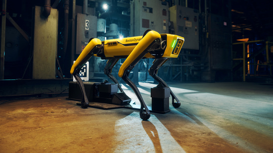 new robot dog