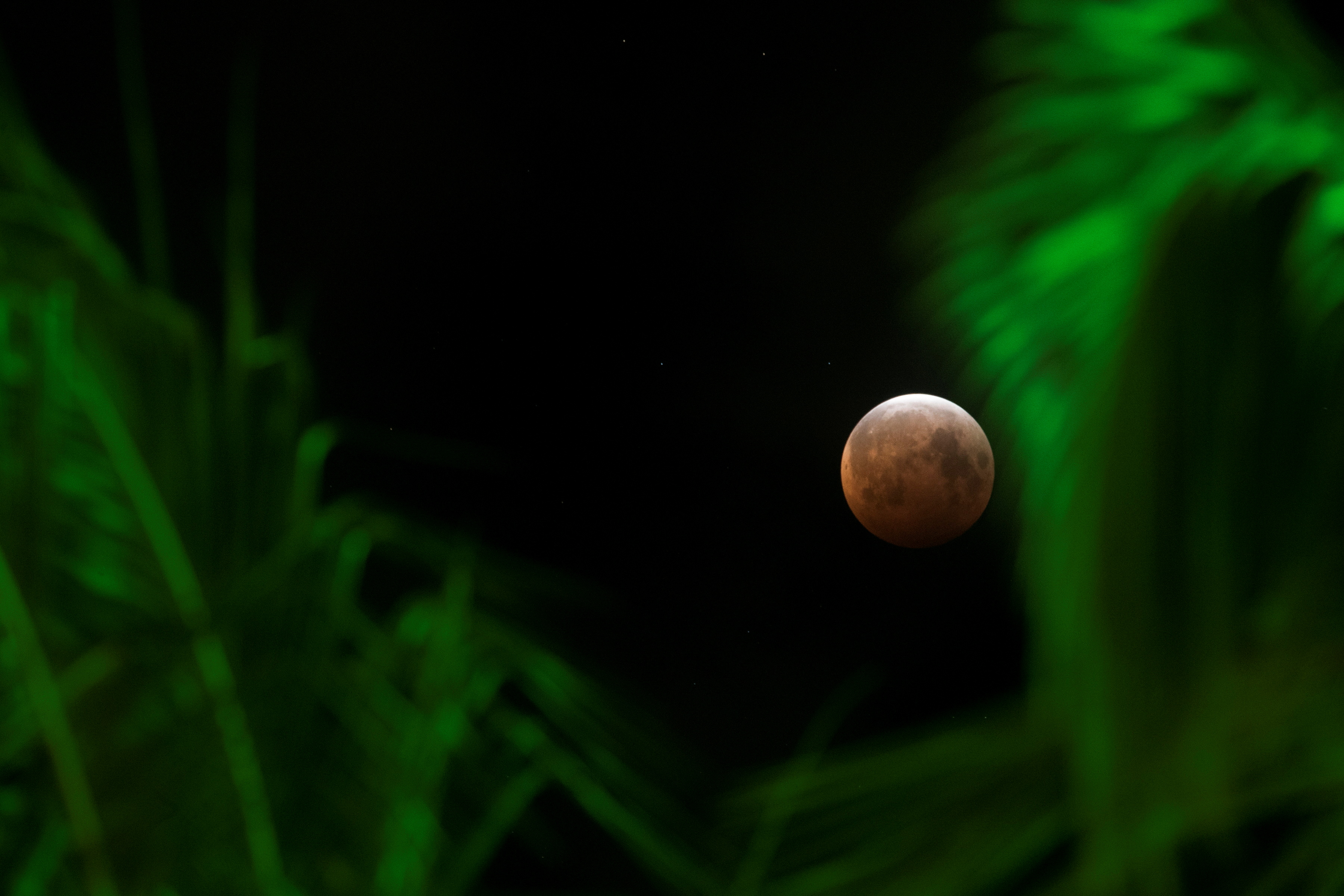 In Photos World Gazes At Super Flower Blood Moon