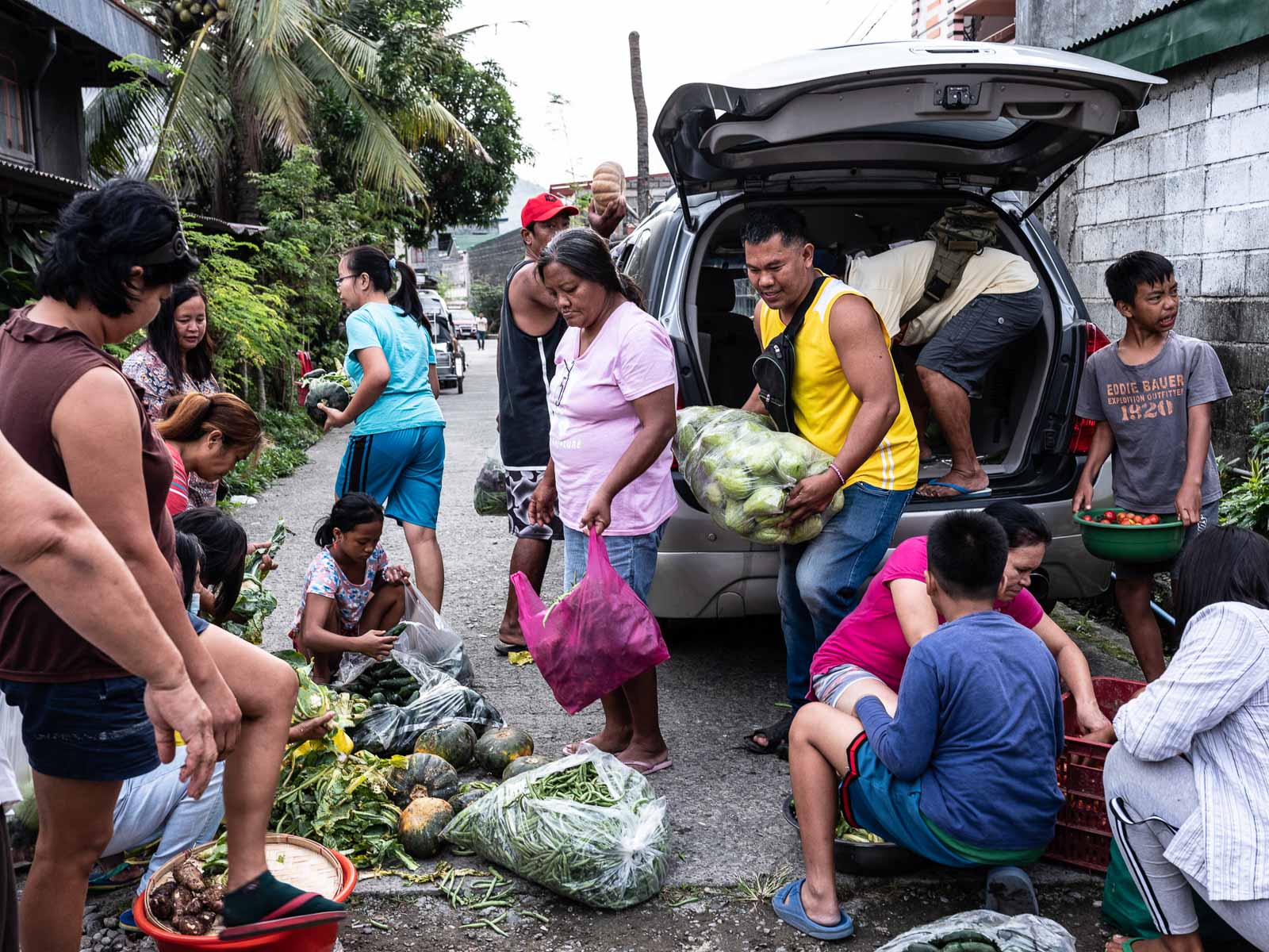 Farm To Table Food Insecurity In The Philippines