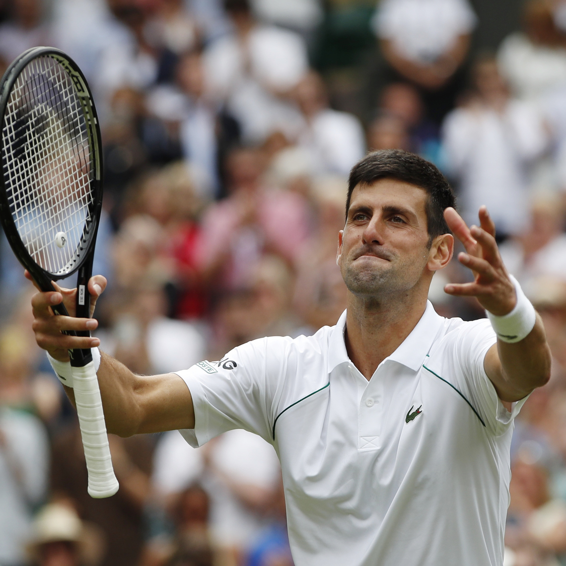 Djokovic Rolls Into Wimbledon Quarters With Garin Thrashing