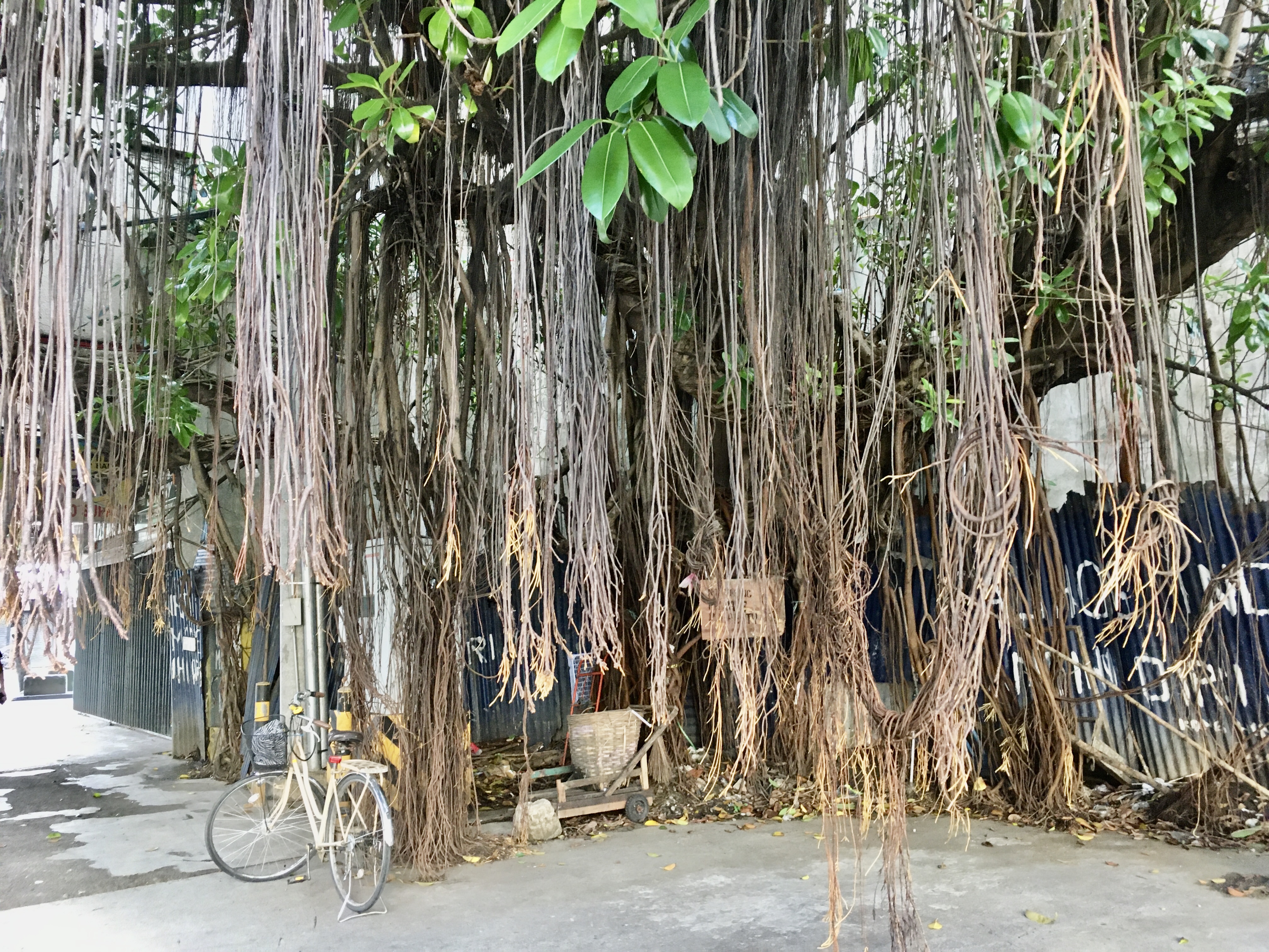 (Catatan Ilonggo) ‘Menelan’ dan ‘mari-it’ di Iloilo