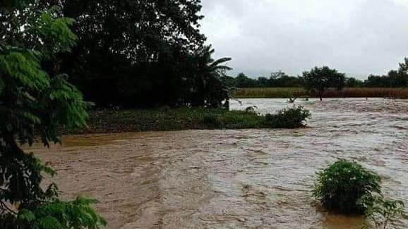 Agricultural damage from Maring reaches P692 million - Vimarsana News