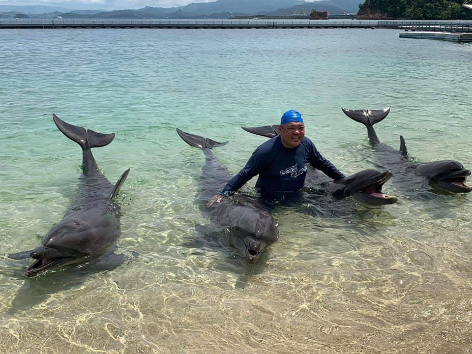 Not Leisure Says Roque About Swim With Dolphins At Ocean Adventure