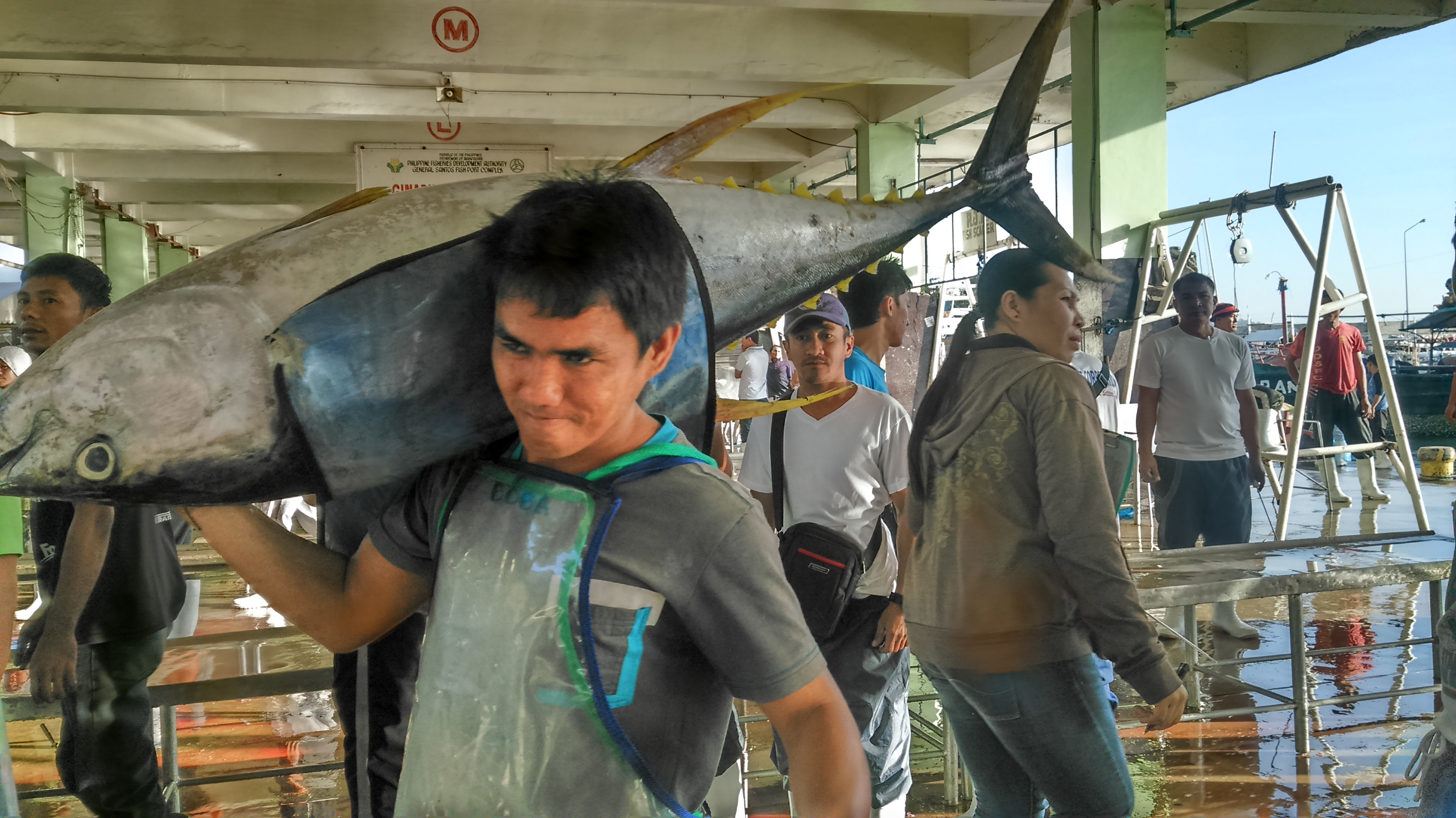 Hazards in labor contracting: What about the PH tuna industry?