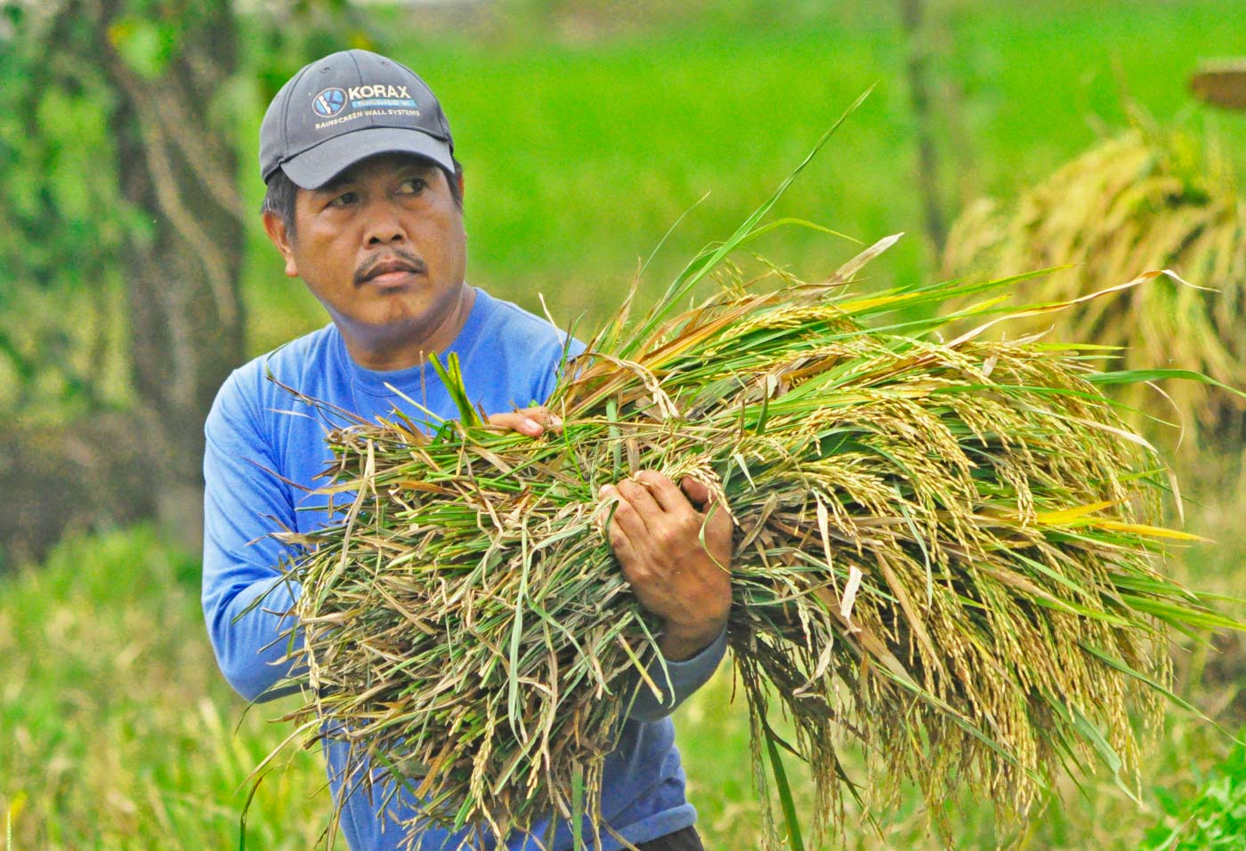 Congress Goes On Monthlong Break With Rice Farmers Left Hanging