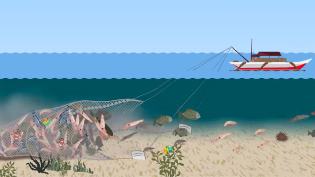 Destructive Fishing Practices