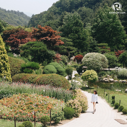 Taman Bunga Di Korea Selatan - Di negara ini, musim sakura disebut