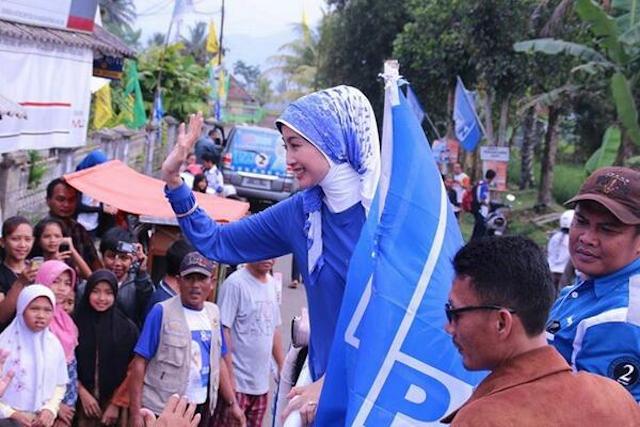 3 PR Desy Ratnasari sebagai ketua pansus RUU Merek