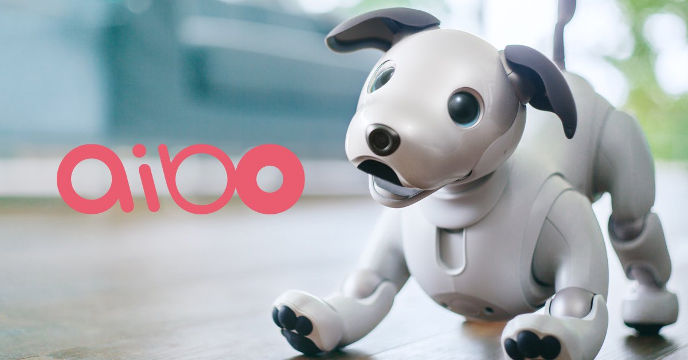 sony aibo robot dog