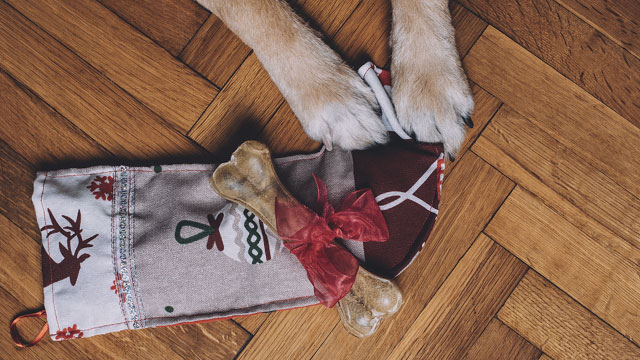 christmas gift ideas for dog lovers