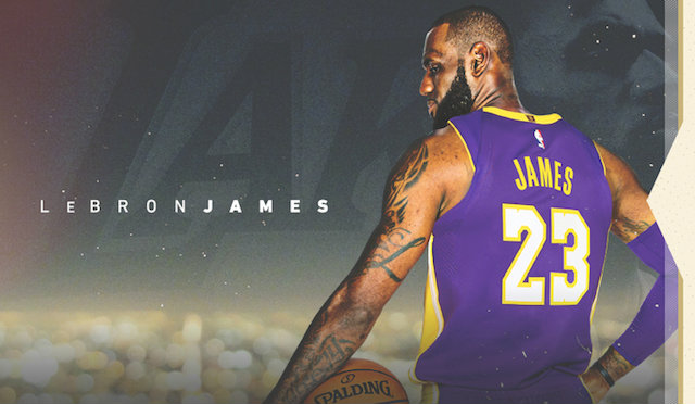 lebron laker 17