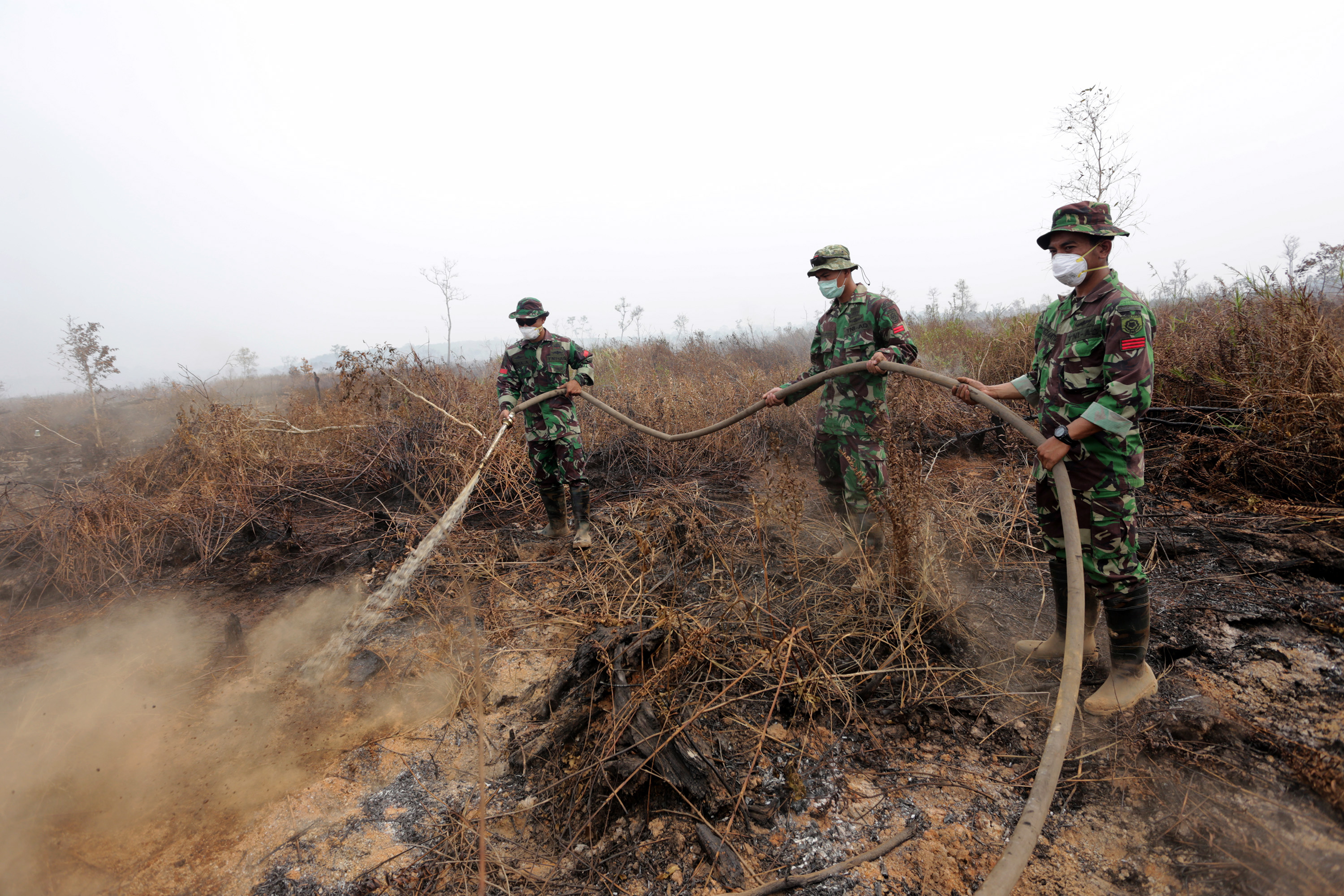 WATCH Aerial footage shows devastating damage of Indonesia forest fires