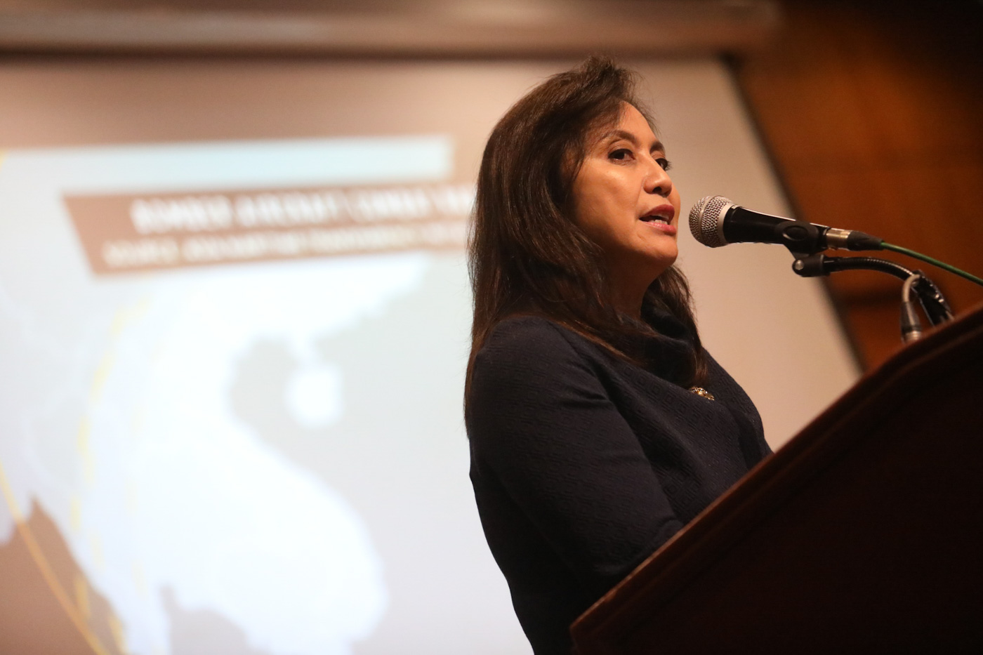 Robredo slams 'tambay' arrests as anti-poor