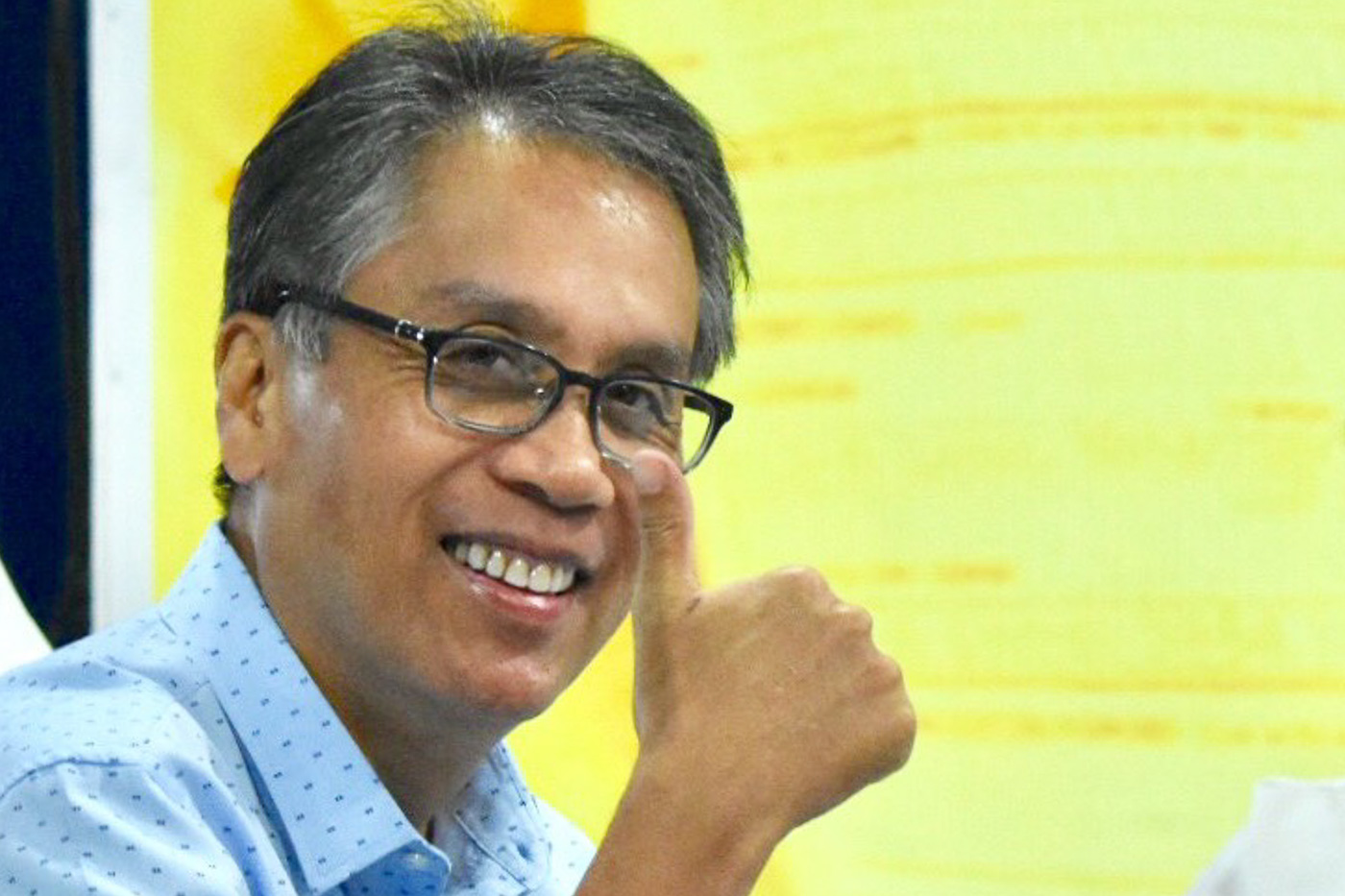 Mar Roxas Seeks To Block Senate Bid Of Another Roxas