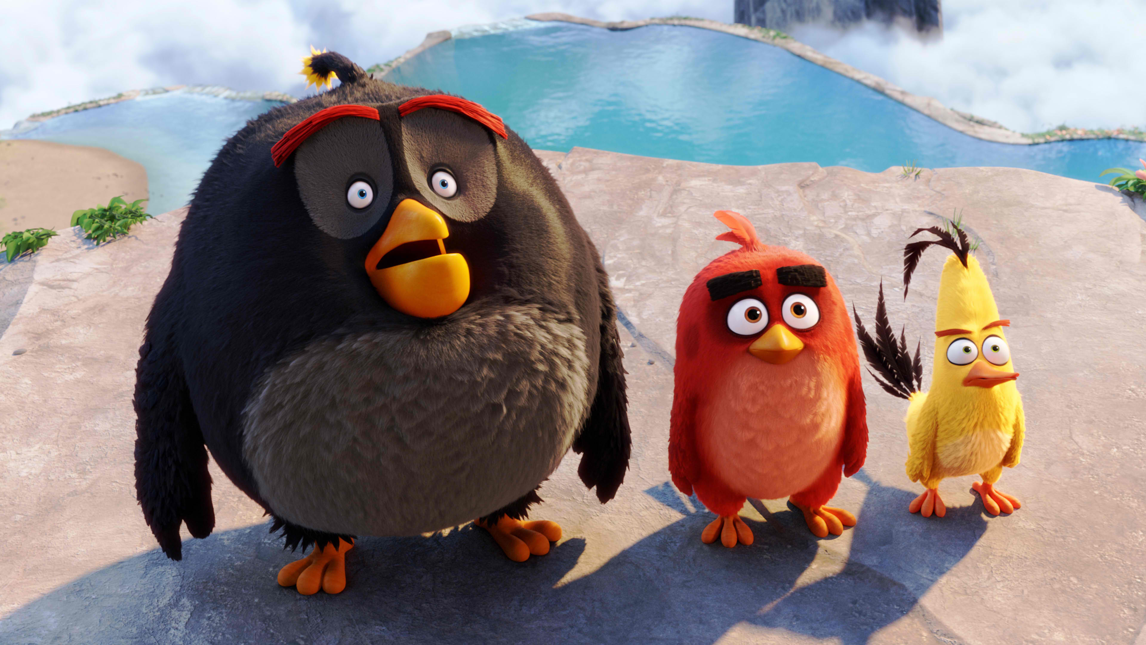 The Angry Birds Movie Review Bird Fluke