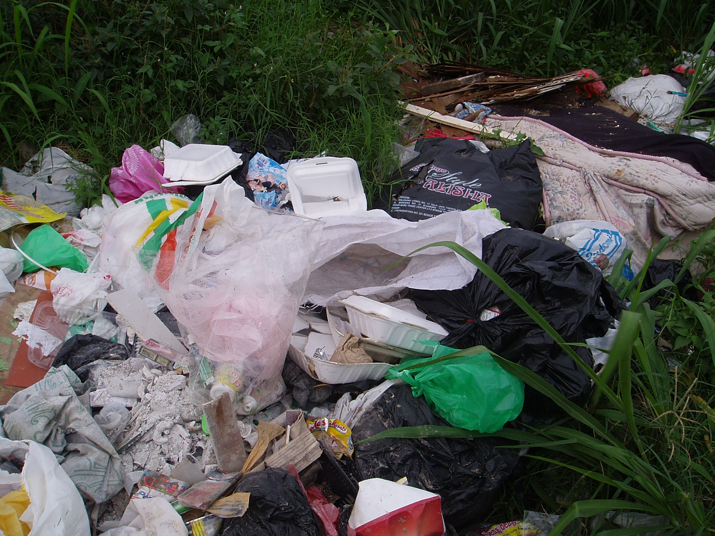 Bahaya styrofoam bagi kesehatan manusia dan lingkungan