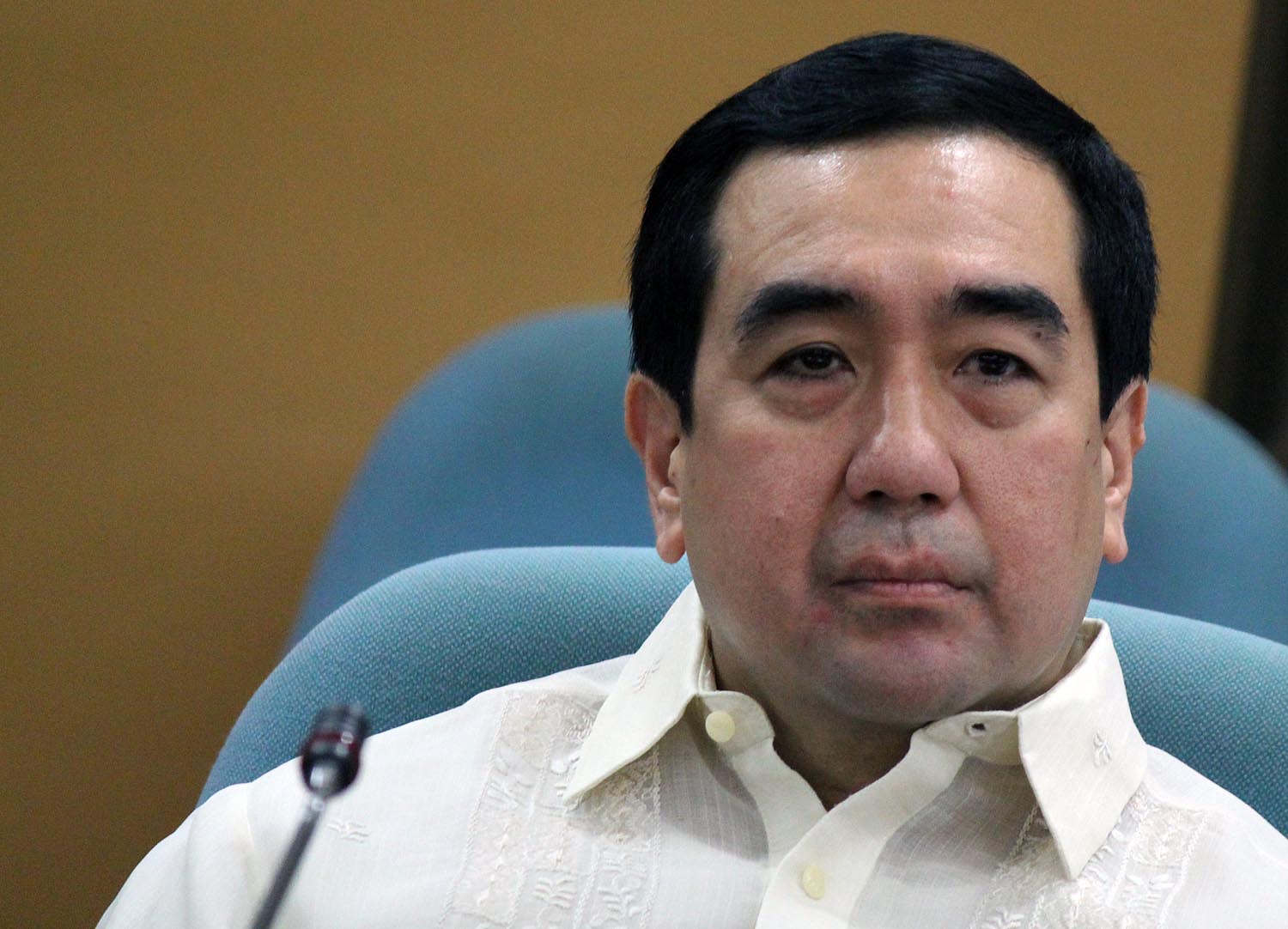 Elections Chief Disowns Guanzon S Comment Vs Poe