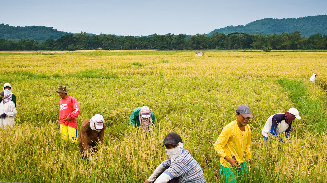 Aquino's 2015 agri budget: What's in it, what's missing