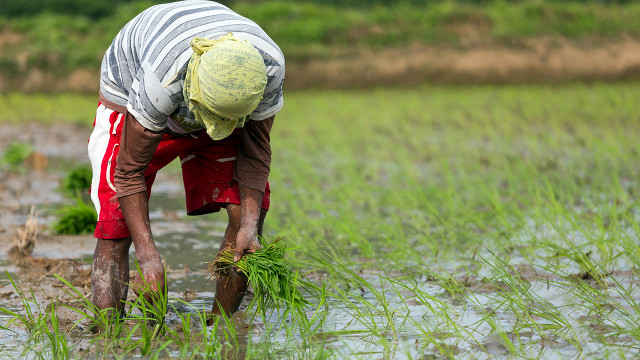  Farmers; “The Mitochondria Of India”